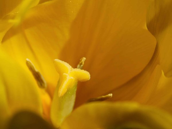 Expérience culturelle immersive à Annecy : Découvrez l'histoire et l'art de la région en famille